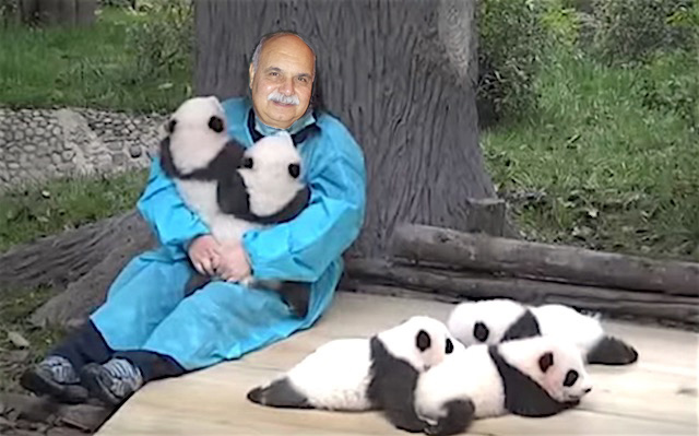 Tom is included in selfie with world leaders