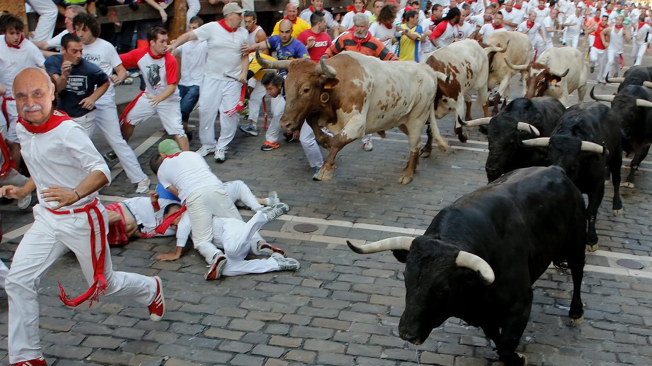 Tom & Bull