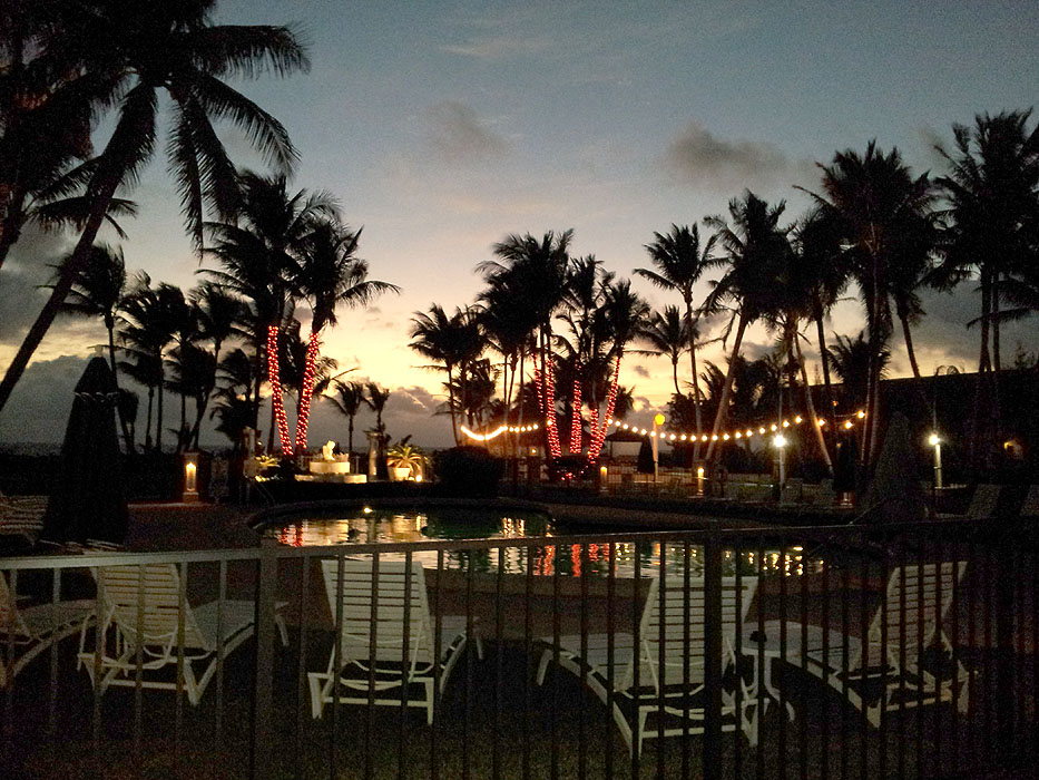 Erica & Dan�s Wedding